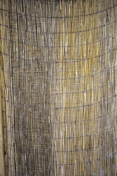 Bambus stěna — Stock fotografie