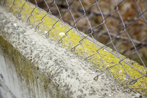 Clôture Métallique Sur Mur Détail Protection Sécurité — Photo