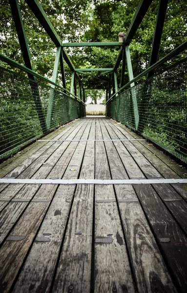 Holzbrücke Wald Gehweg Zum Wandern Bau — Stockfoto