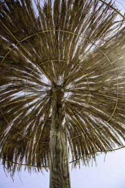 Karayip saman şemsiyeleri denizde, tatilde ve turizmde