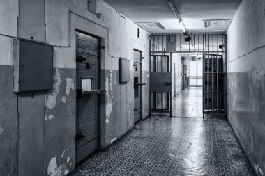 Hücreli cezaevi, özgürlükten mahrum etme, tutuklamalar