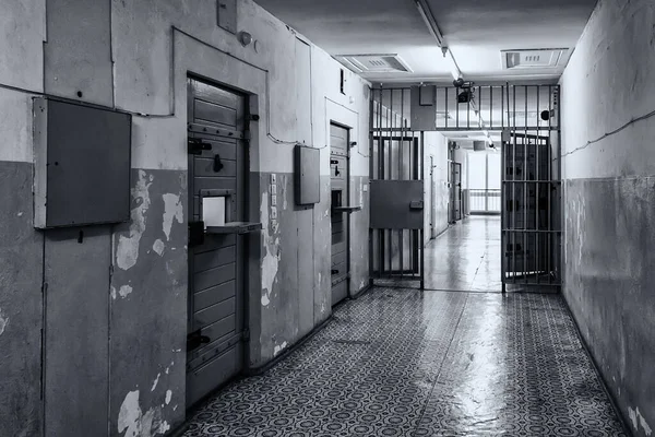 Hücreli Cezaevi Özgürlükten Mahrum Etme Tutuklamalar — Stok fotoğraf