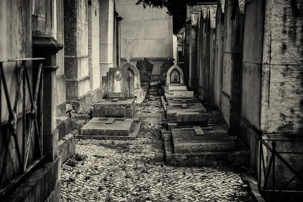 Cemetery with tombs in portugal, religious symbol