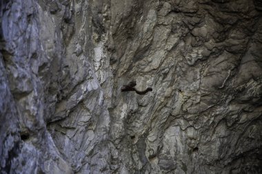 Dağdaki taş ve kaya dokusu, mineral kullanımı, sanayi