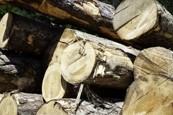 Drewniane Kłody Środowisko Naturalne Ogrzewanie Ogień — Zdjęcie stockowe