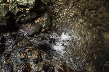 Sonbahar yapraklı nehir dağ yolunda, doğa ve manzara