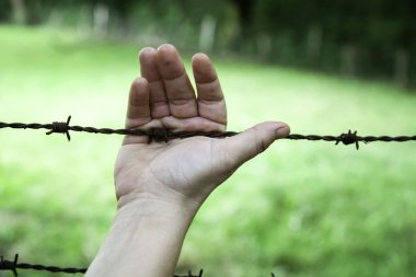 Eller dikenli tellerde, yasadışı göç, hapis