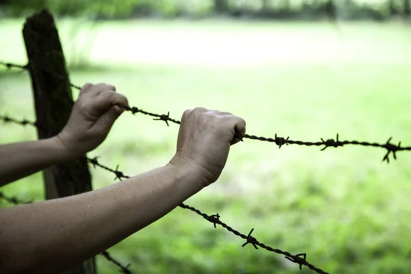 Handen Prikkeldraad Illegale Immigratie Opsluiting — Stockfoto