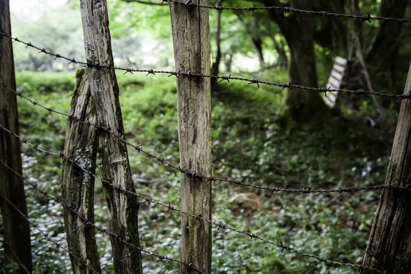 Afscherming Met Prikkeldraad Gevangenisbewaking Bescherming Beveiliging — Stockfoto