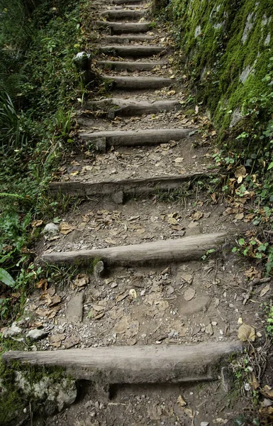 有秋叶 自然和风景的楼梯 — 图库照片