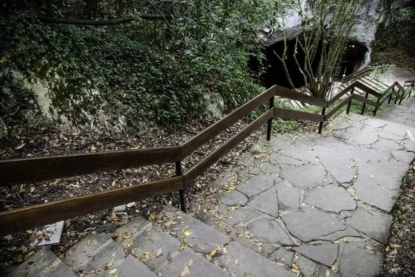 Trappa Med Höstlöv Natur Och Landskap — Stockfoto