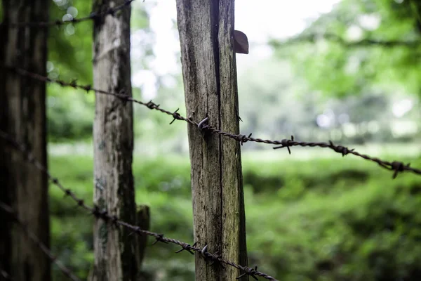 Barbed Wire Fence Jail Detail Protection Security — Stock Photo, Image
