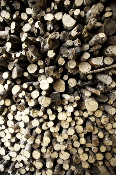 Troncos Madera Talados Bosques Deforestación Medio Ambiente Cambio Climático —  Fotos de Stock