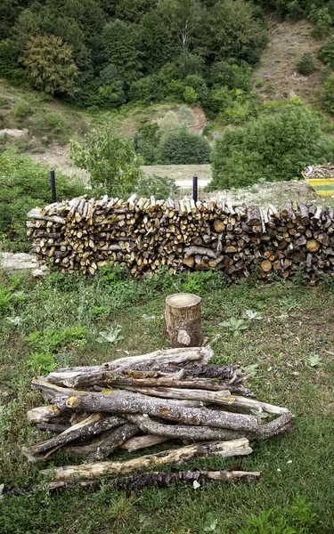 Wood Logs Felled Forest Deforestation Environment Climate Change — Stock Photo, Image