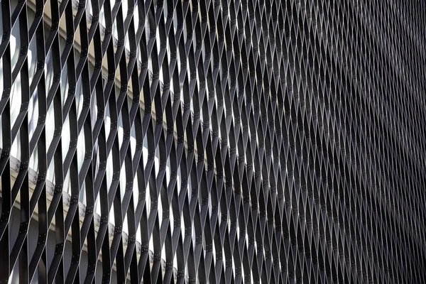 İnşaat, inşaat ve mimarinin metal çit koruma cephesi