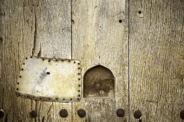 Cat Flap Closed Wooden Door Domestic Animals Construction Architecture — Stock Photo, Image