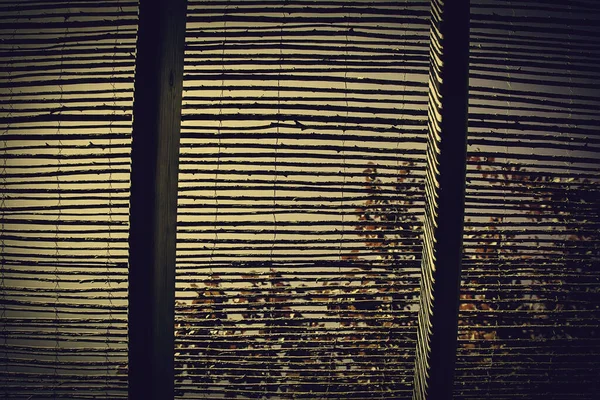 柳条竹制屋顶热带装饰细节 — 图库照片