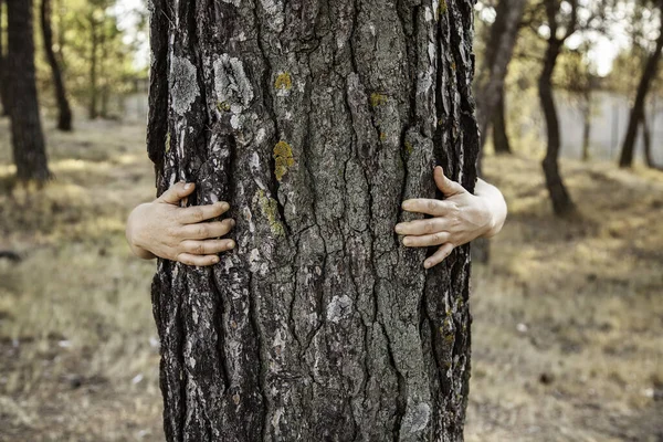 Donna Che Abbraccia Gli Alberi Terapia Naturale Energia Positiva Yoga — Foto Stock