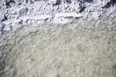 Tuz, tuz üretimi, imalat ve sanayi, besin özellikleri