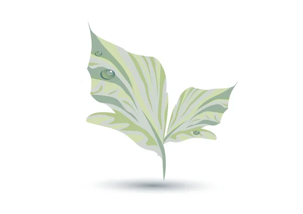 Vector Green Leaf White Background — Stock Vector