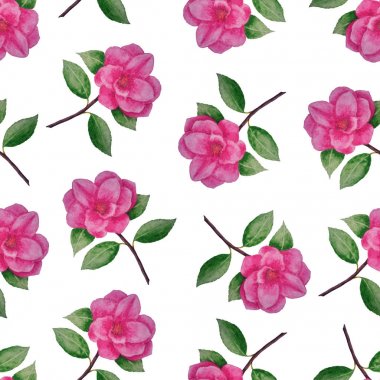 Beyaz arka planda desen pembe kamelyalar