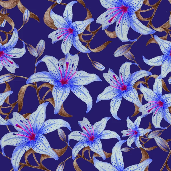 Niebieskie Lilie Ciemnym Niebieskim Tle — Zdjęcie stockowe