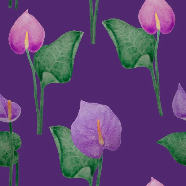 Mor arkaplandaki Anthurium deseni