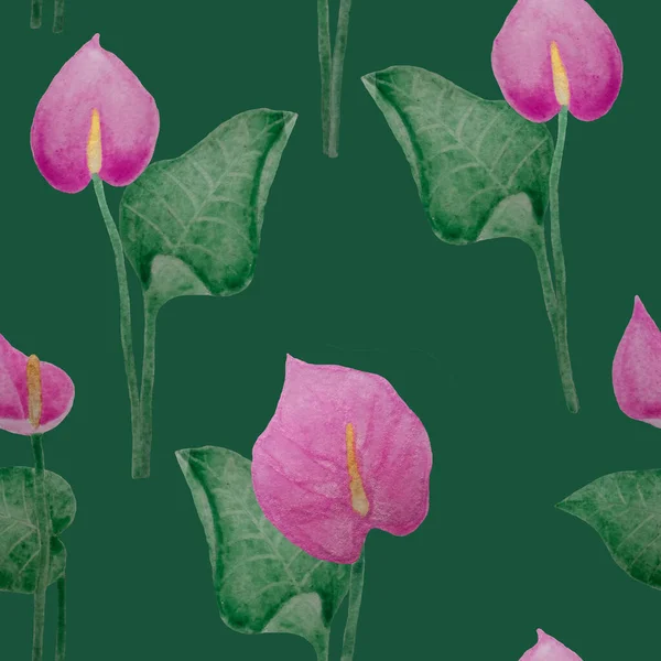 Yeşil zemin üzerinde Anthurium