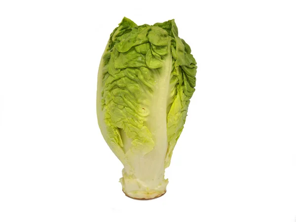 Lettuce Isolated White Background Fresh Lettuce Healthy Food — Stock Photo, Image