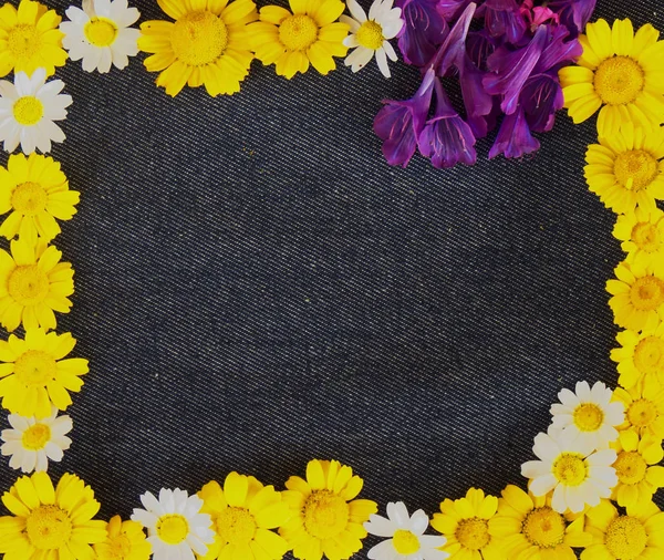 Frame Van Gele Madeliefjes Bloemen Een Achtergrond Van Blue Jeans — Stockfoto