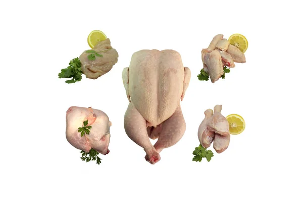 新鮮な鶏の部分に分かれて 白地に分離された鶏のコラージュ — ストック写真