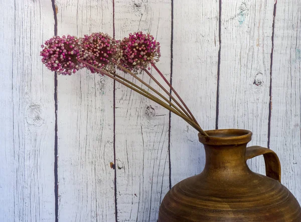 Stilleven Van Bloemen Pot Met Witte Houten Muur Bloemen Roze — Stockfoto