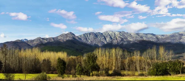 Ağaçlar ve mavi gökyüzü ile dağların panoramik manzara. Panoramik Sierra de Gredos, İspanya