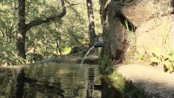 Agua Gotas Agua Cayendo Sobre Una Fuente Piedra Montaña — Vídeos de Stock