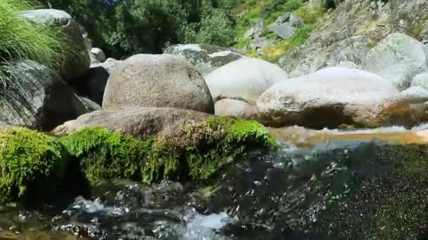 Río Montaña Pequeña Cascada Agua Sobre Granito Piedra Musgo Sierra — Vídeos de Stock