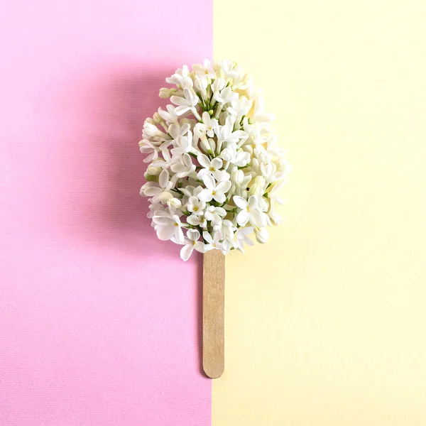 Virágai Fehér Orgona Bottal Mint Popsicle Minimalizmus Kreatív Koncepció Nyári — Stock Fotó