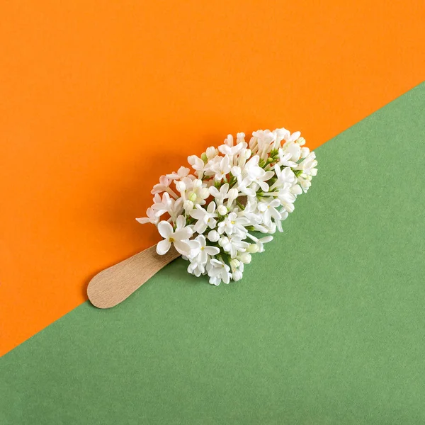 アイス キャンデー棒に白いライラックの花が好きです ミニマリズム 夏の食品の創造的な概念は 色の背景 トップ ビュー — ストック写真
