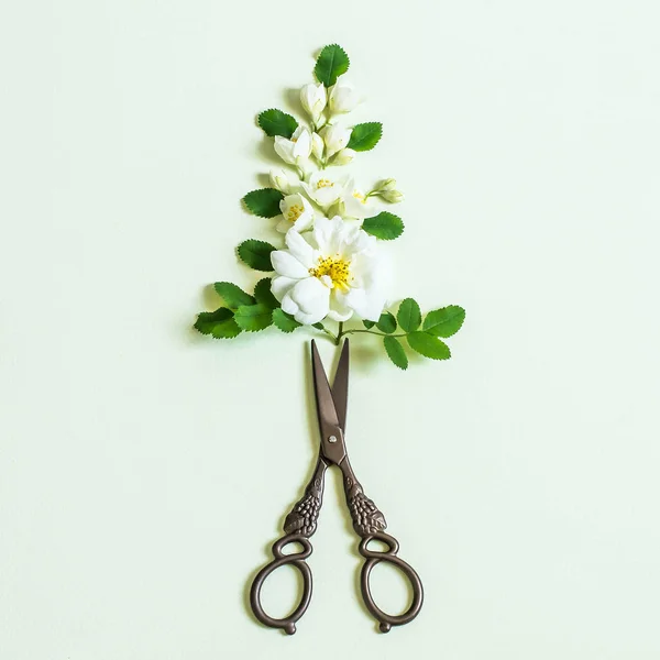 Mint Váza Halvány Zöld Alapon Fehér Virágok Vintage Olló Eredeti — Stock Fotó
