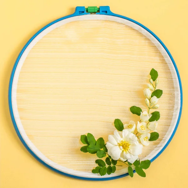 Hímzés Hoops Sárga Háttéren Fehér Virág Elrendezése Kreatív Ünnepi Keretben — Stock Fotó