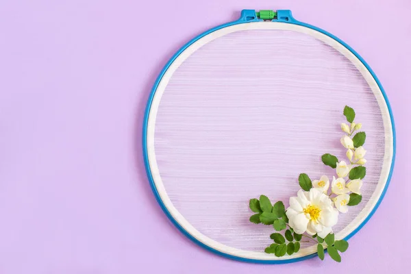 Arrangement of white flowers on embroidery hoops pastel lilac background. Creative festive frame with copy space. Top view