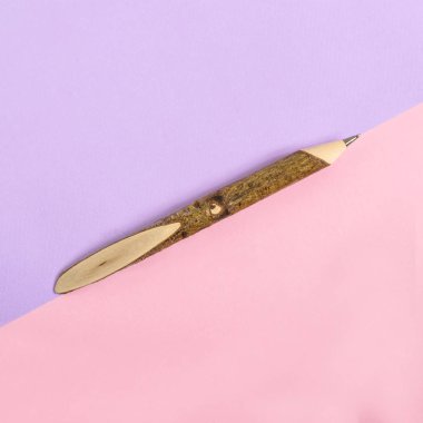 Tükenmez kalem ile kabuk iki renkli arka plan üzerinde ağaç dalından. En az tarzı. Kopya alanı, üstten görünüm