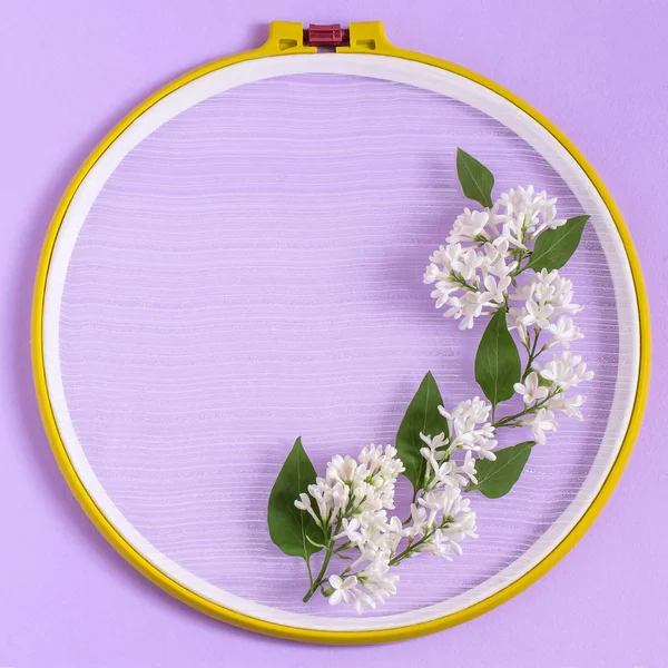Embroidery frame and flowers of white lilac on pastel violet background. Creative festive frame with copy space. Top view