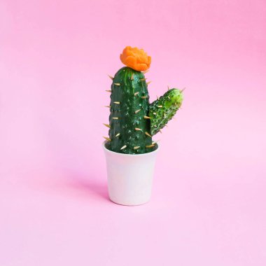 Salatalık havuç pastel pembe bir arka plan üzerinde çiçek ile yapılmış kaktüs. En az tarzı. Yaratıcı bir fikir, hayal ve fantezi. Özgün vejetaryen kavramı