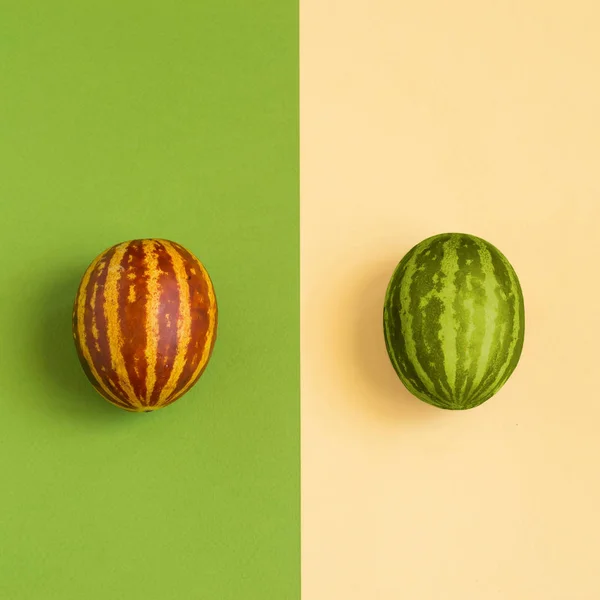 Mini melon and watermelon with striped skin on contrasting background. Hybrids, result of selection. Minimal style. Food concept of amazing fruits of plants