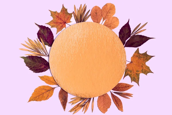 Grinalda Folhas Outono Coloridas Sementes Círculo Dourado Folha Metálica Abordagem — Fotografia de Stock