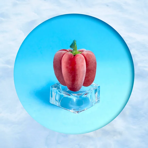 Mrożony Papryka Kostki Lodu Klatce Śniegu Koncepcja Szybko Mrożone Warzywa — Zdjęcie stockowe