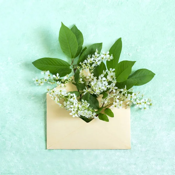 Envelope Blossoming Branch Bird Cherry Concept Spring Holidays Congratulations Women — Stock Photo, Image