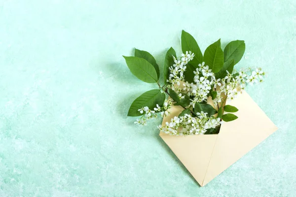 Envelope Blossoming Branch Bird Cherry Concept Spring Holidays Congratulations Women — Stock Photo, Image