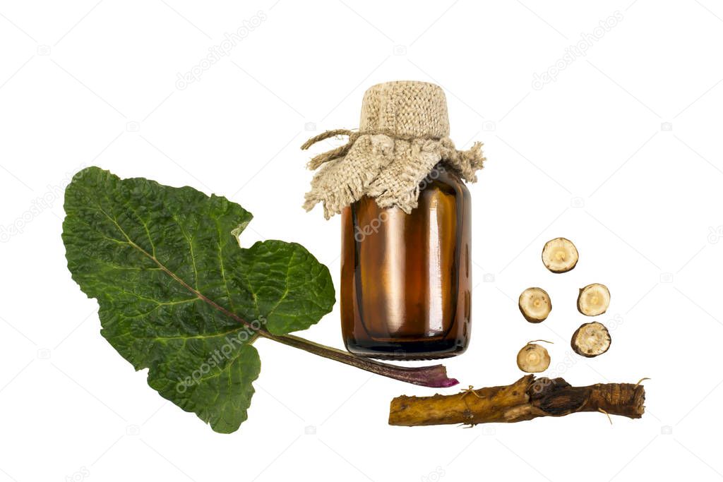 Burdock (Arctium lappa), root and leaves, burdock oil in bottle isolated on white. Medicinal plant burdock is used in herbal medicine and cosmetology. Treatment and hair care