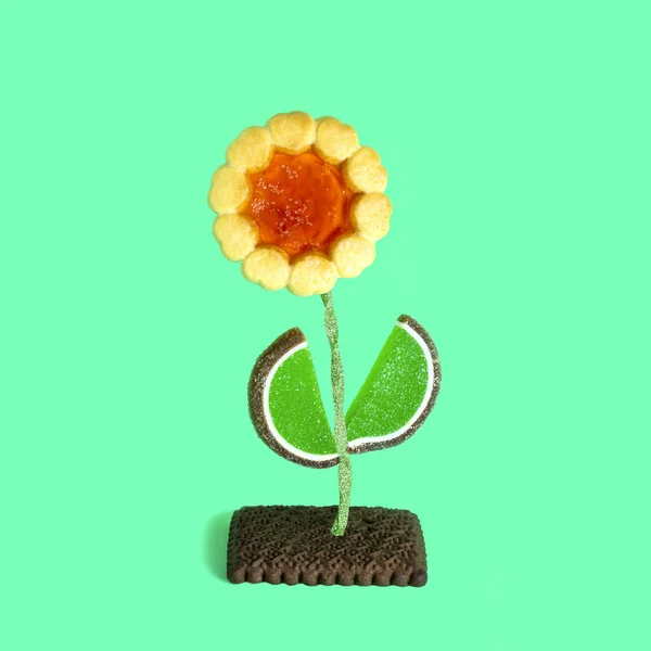 Kwiat Różnych Rodzajów Plików Cookie Cukierki Creative Słodki Wystrój Minimalistycznym — Zdjęcie stockowe